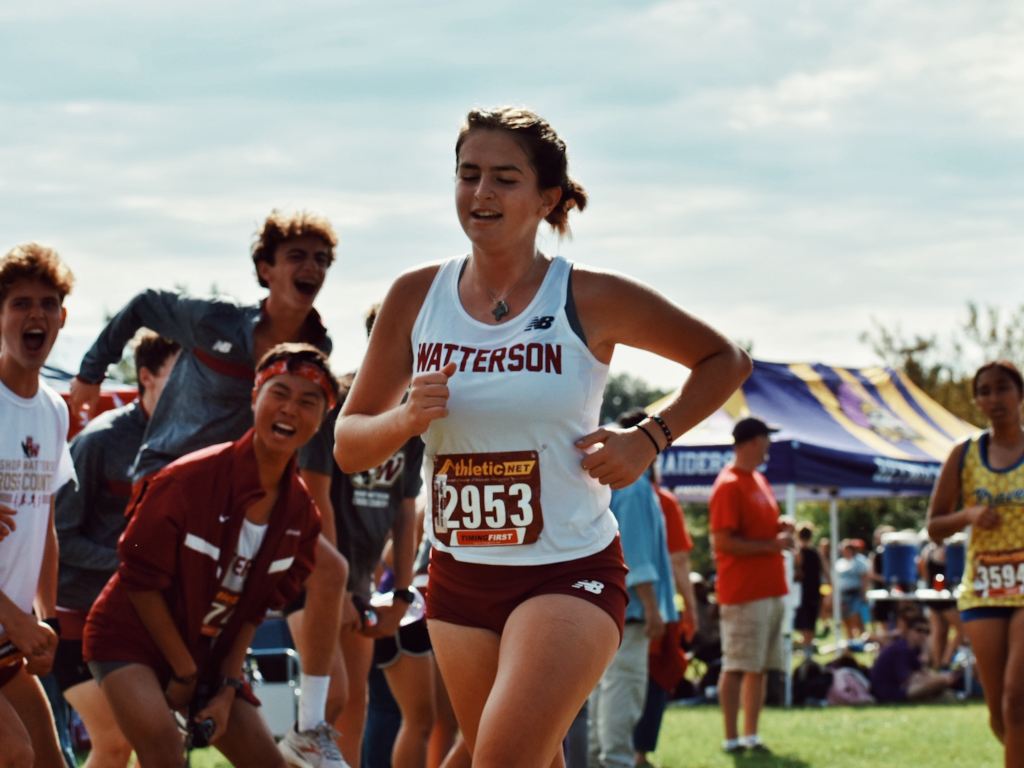 My theory on race stimulation: 2x race&nbsp;practices