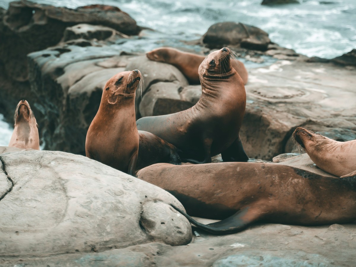 The importance of mobility work for trail runners & injury-prone&nbsp;athletes