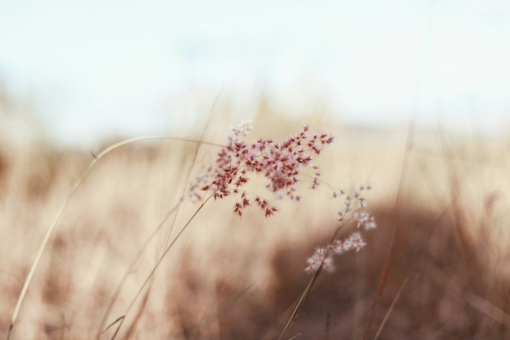 Weekly Newsletter – Why you can’t just do the bare&nbsp;minimum