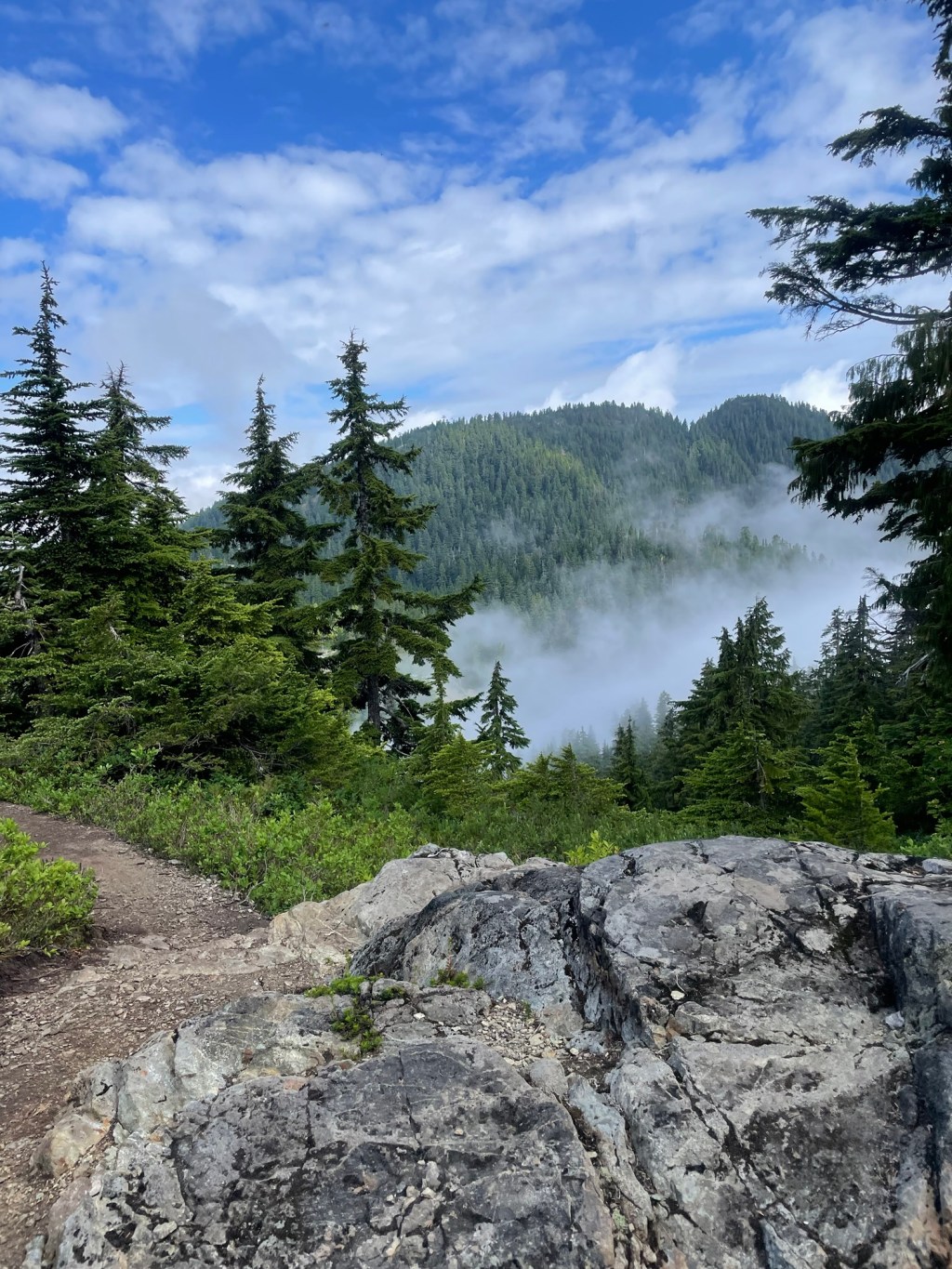 Weekly Newsletter – Adventure is part of the&nbsp;fun!