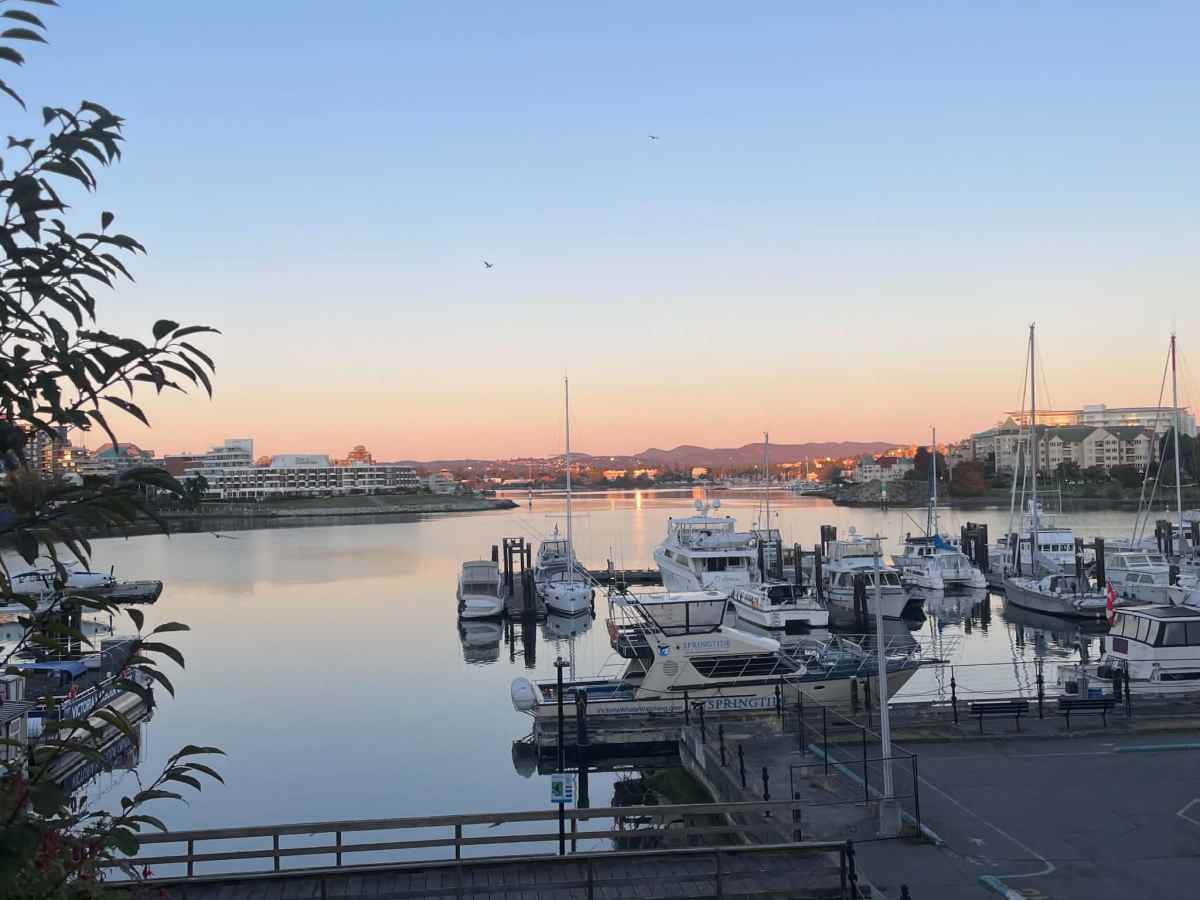 Royal Victoria Marathon 2026 – Race&nbsp;Recap