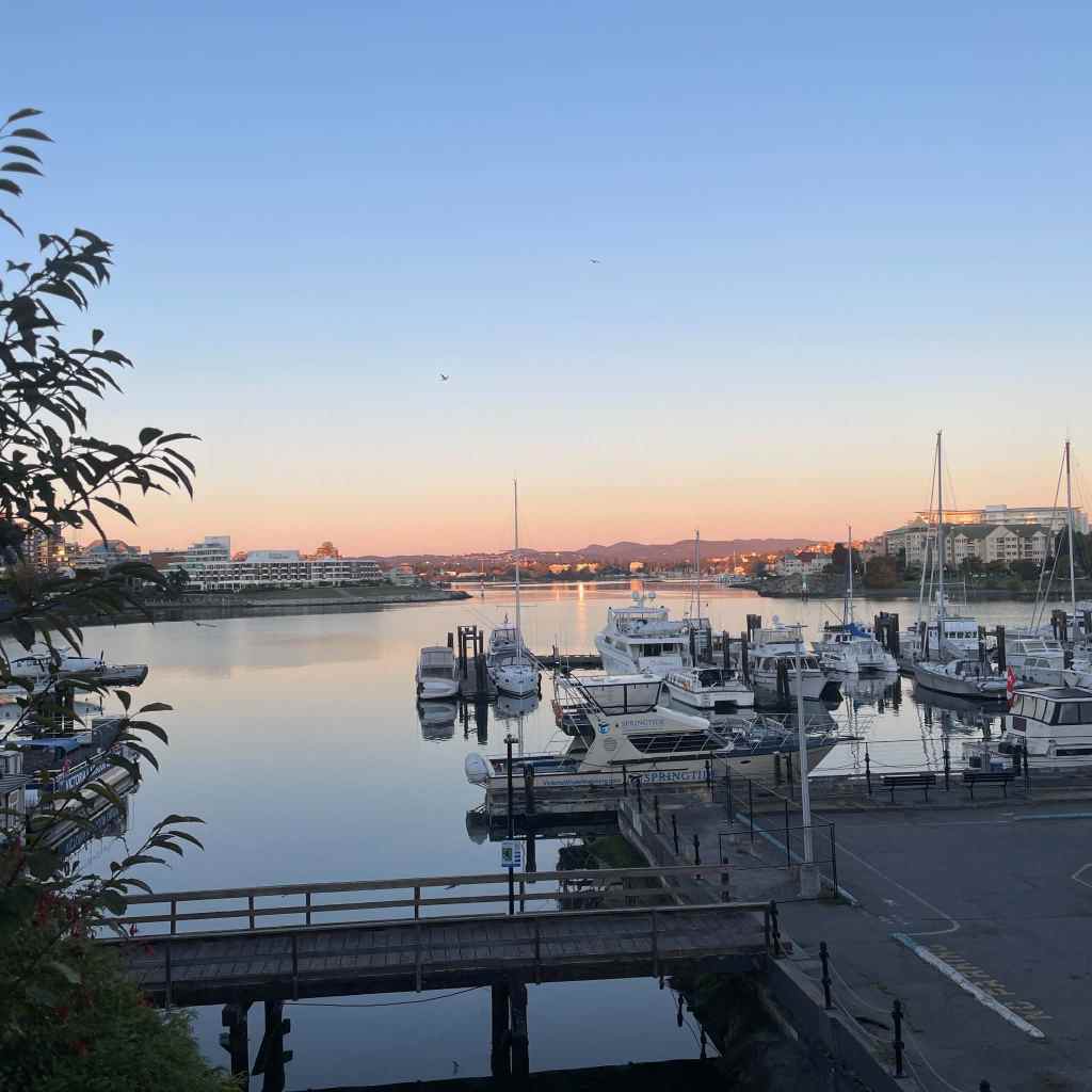 Royal Victoria Marathon 2026 – Race&nbsp;Recap